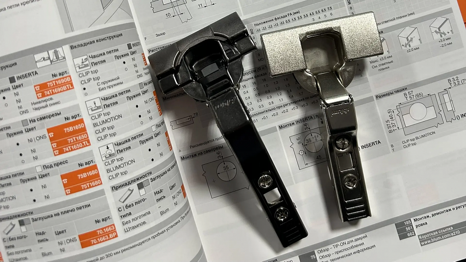 Обучение в Blum